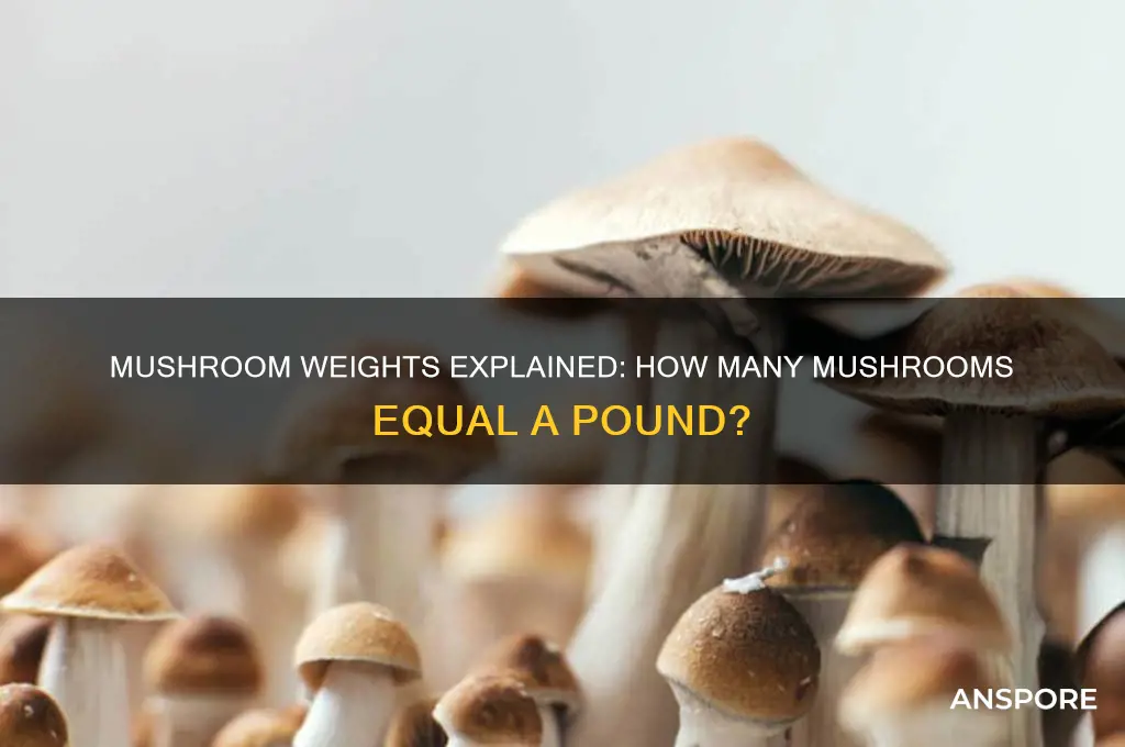 how many mushrooms make a pound