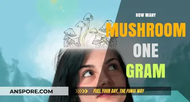 Weighing Up Magic Mushrooms: How Many Per Gram?