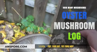 Oyster Mushroom Logs: How Many Mushrooms Can You Expect?