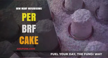 Growing Mushrooms: BRF Cakes and Their Fruiting Bodies