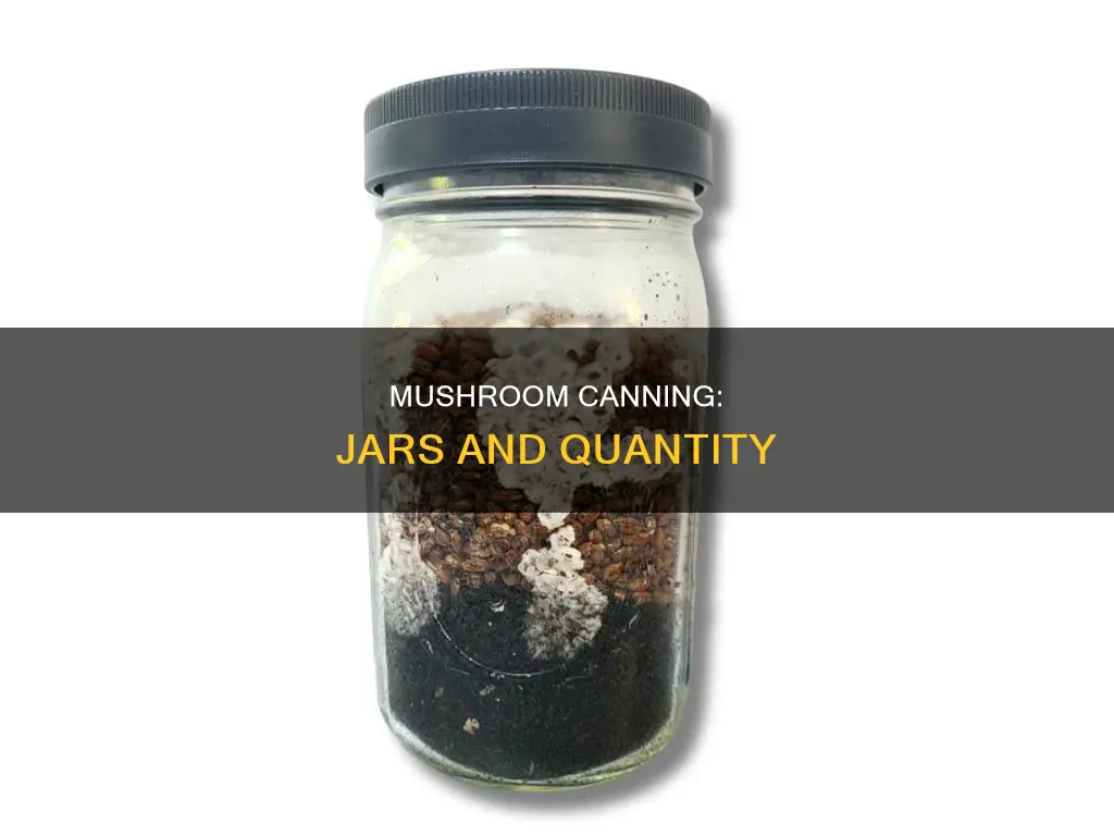 how many mushrooms per jar