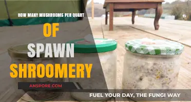 Growing Mushrooms: Spawn Quantity for a Quart