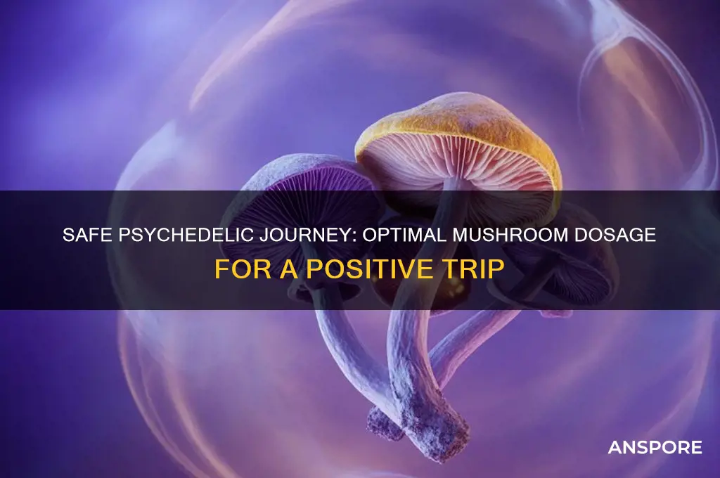 how many mushrooms should i eat for a good trip