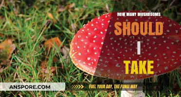 Understanding the Right Mushroom Dosage for Optimal Health and Safety