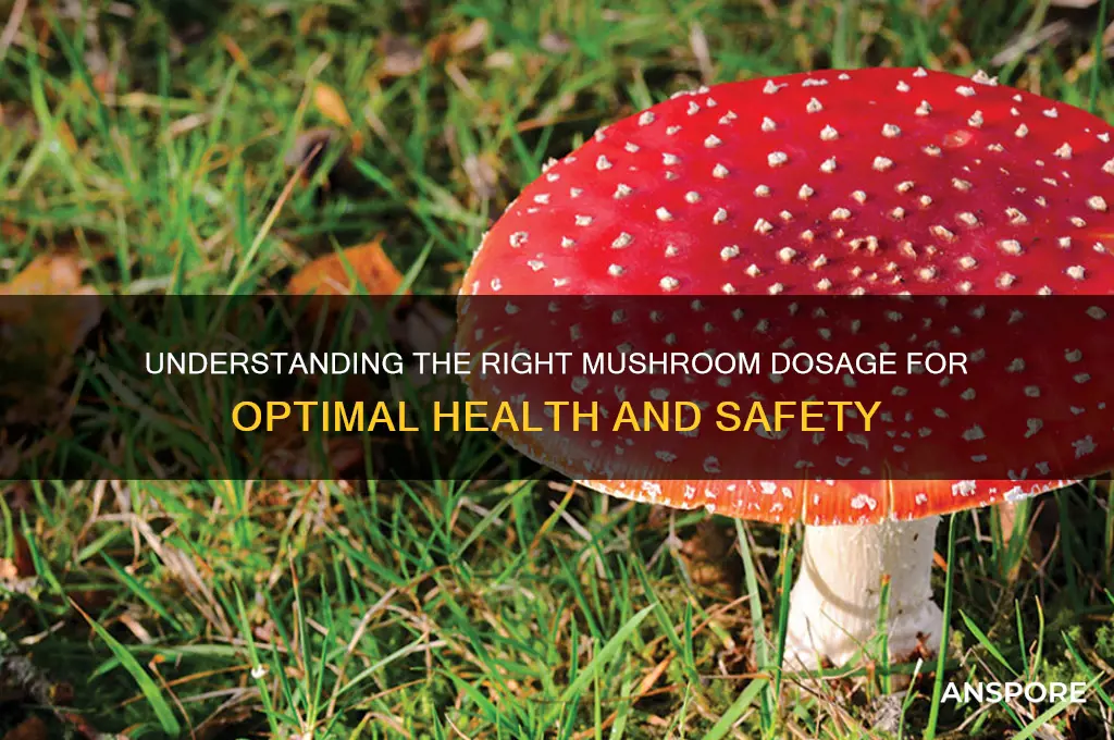 how many mushrooms should i take