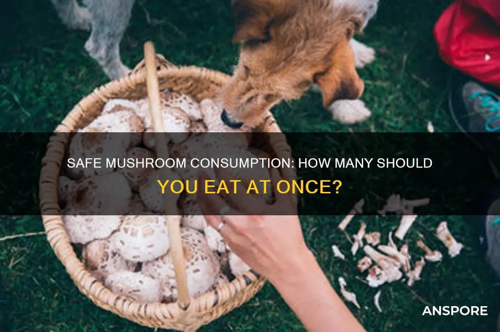 how many mushrooms should you eat at once