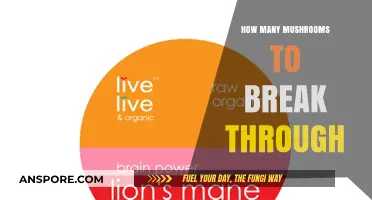 Mushroom Tripping: Finding Your Breakthrough Dose