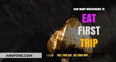 First-Time Mushroom Dosage Guide: Safe Amounts for Your Initial Trip