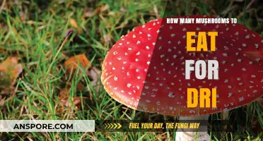 Mushroom Dosage Guide: Optimal Amounts for Desired Effects Explained