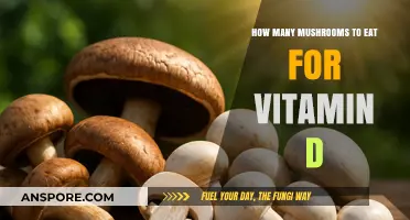 Mushrooms and Vitamin D: Optimal Daily Intake for Health Benefits