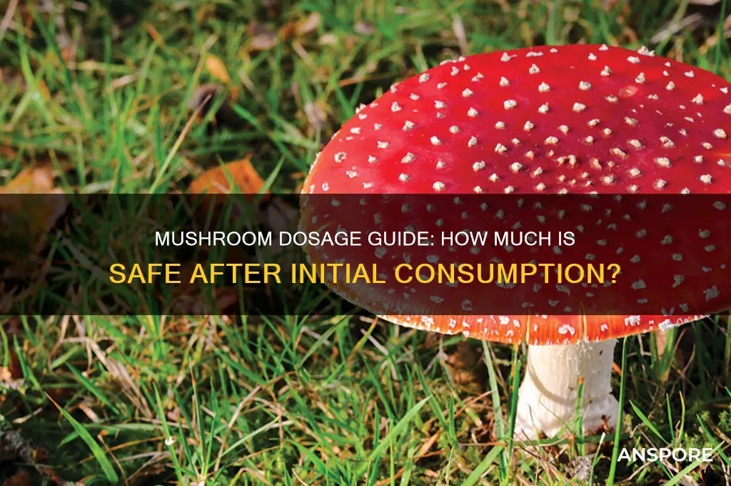 how many mushrooms to eat if you already ate some