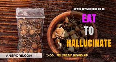 Exploring the Risky World of Hallucinogenic Mushrooms: Dosage and Dangers