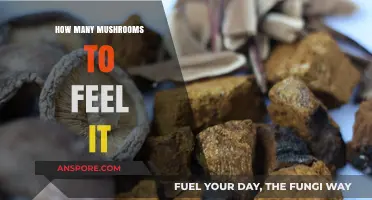 Tripping on Shrooms: How Many to Take?