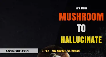 Hallucinating with Mushrooms: Quantity for a Trip