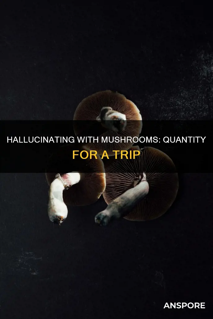 how many mushrooms to hallucinate