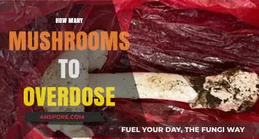Mushroom Poisoning: How Many Mushrooms Are Too Many?