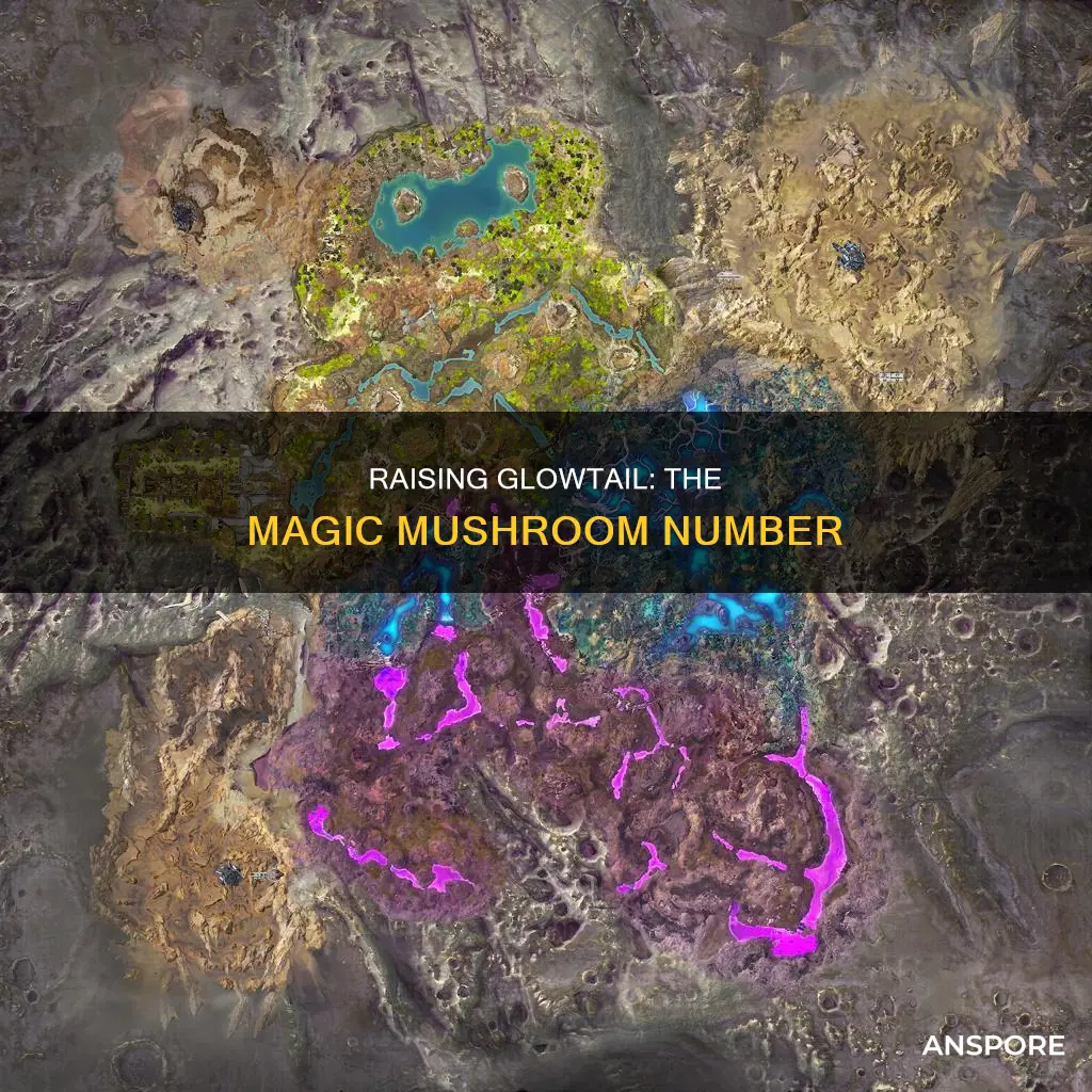 how many mushrooms to raise glowtail