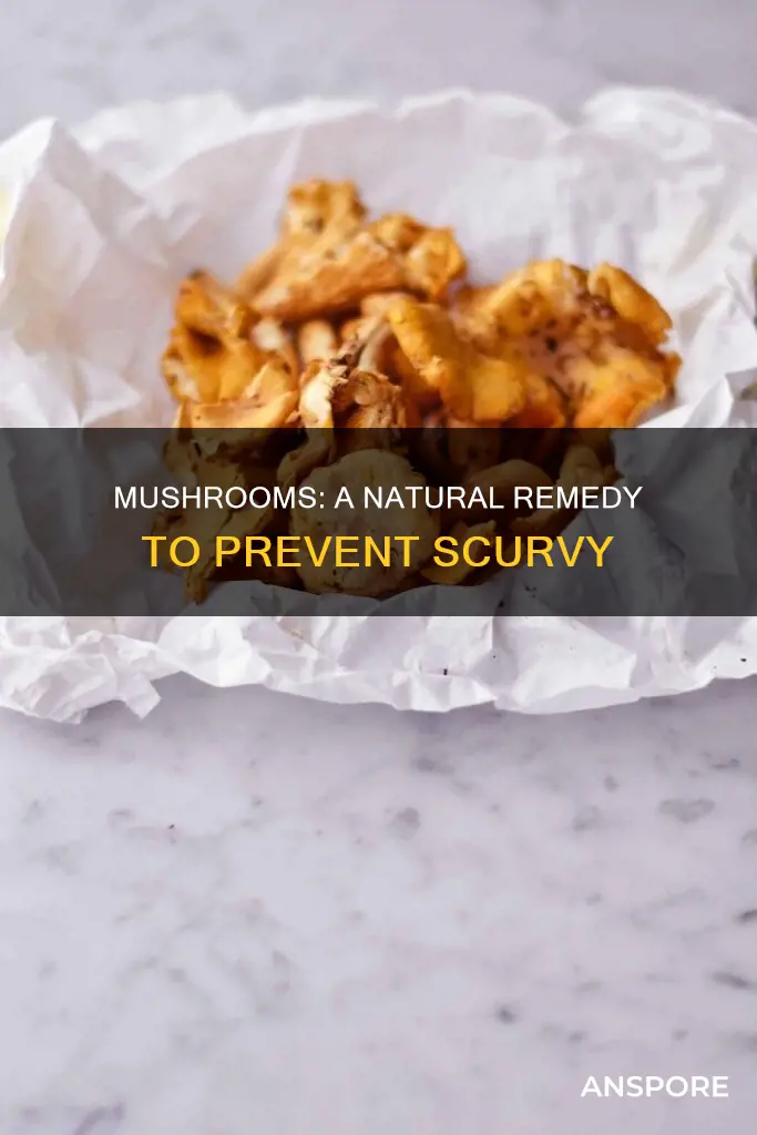 how many mushrooms to stop scurvy