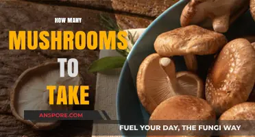 Mushroom Tripping: How Many to Take?