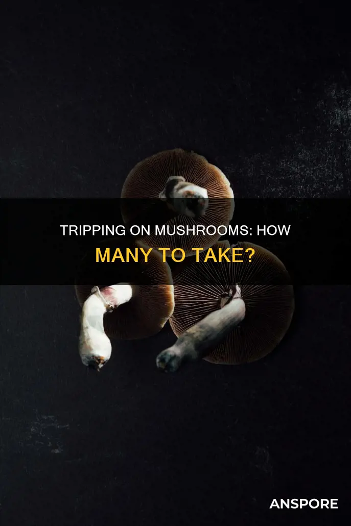 how many mushrooms to trip