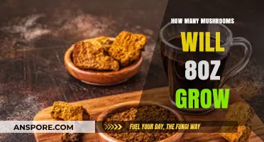 Maximizing Mushroom Yield: How Much Can 8oz Substrate Produce?