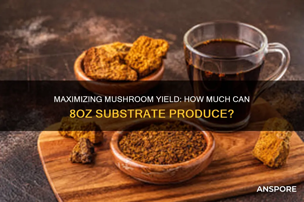 how many mushrooms will 8oz grow