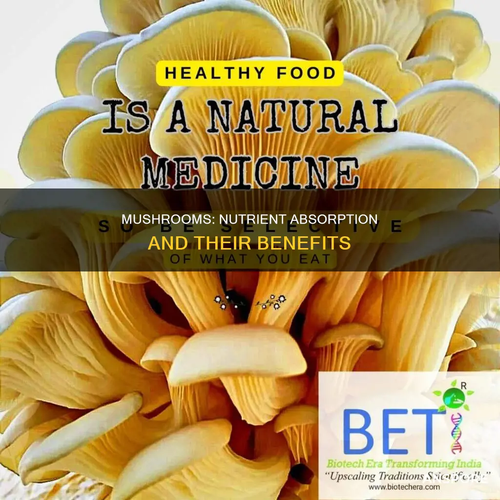 how many nutrients do mushrooms consume