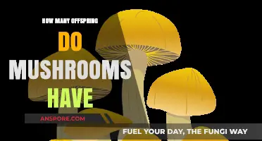 Mushrooms Multiply: Understanding Their Offspring