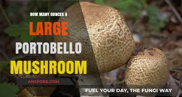 Large Portobello Mushroom Weight: Ounces and Size Guide Revealed