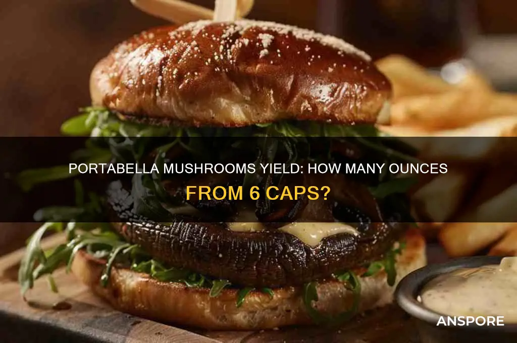 how many ounces can 6 portabella mushrooms make