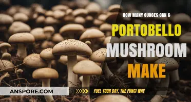Portobello Mushroom Yield: Ounces from 6 Caps Explained