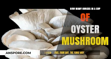 Oyster Mushrooms: How Many Ounces in a Cup?