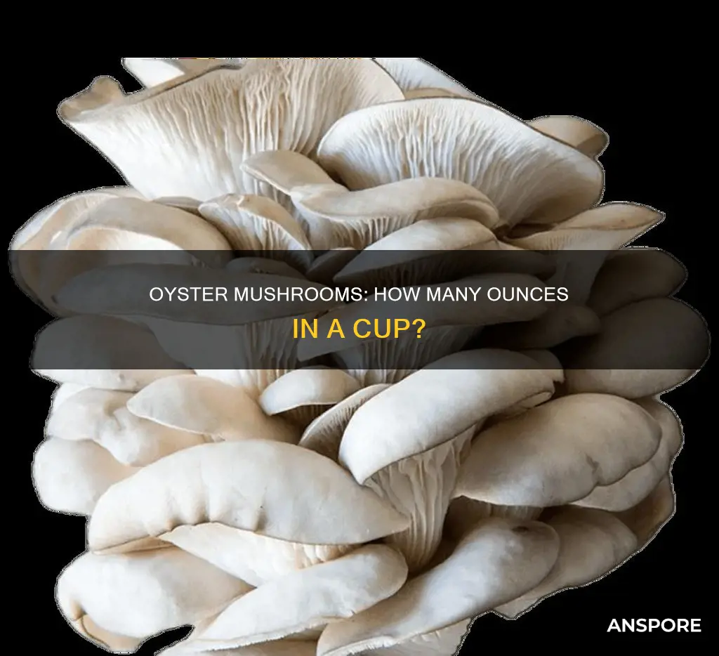 how many ounces in a cup of oyster mushroom
