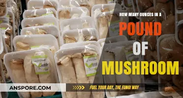 Converting Pounds to Ounces: A Guide for Mushroom Weights