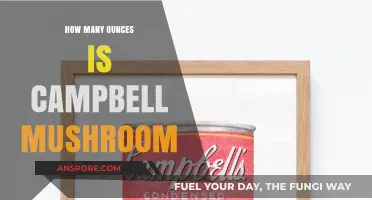 Campbell's Mushroom Soup: How Many Ounces?