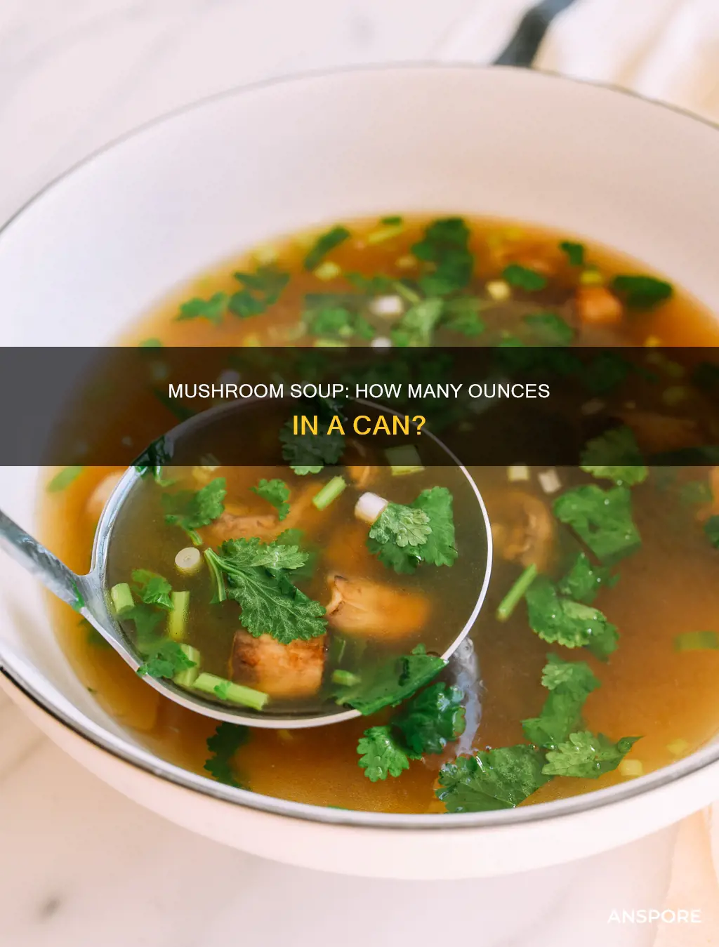 how many ounces is campbells cream of mushroom