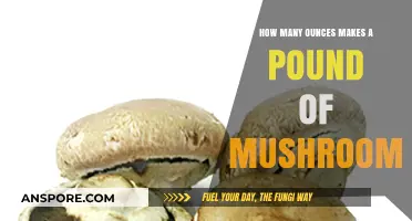 Converting Ounces to Pounds: A Guide for Mushroom Weights