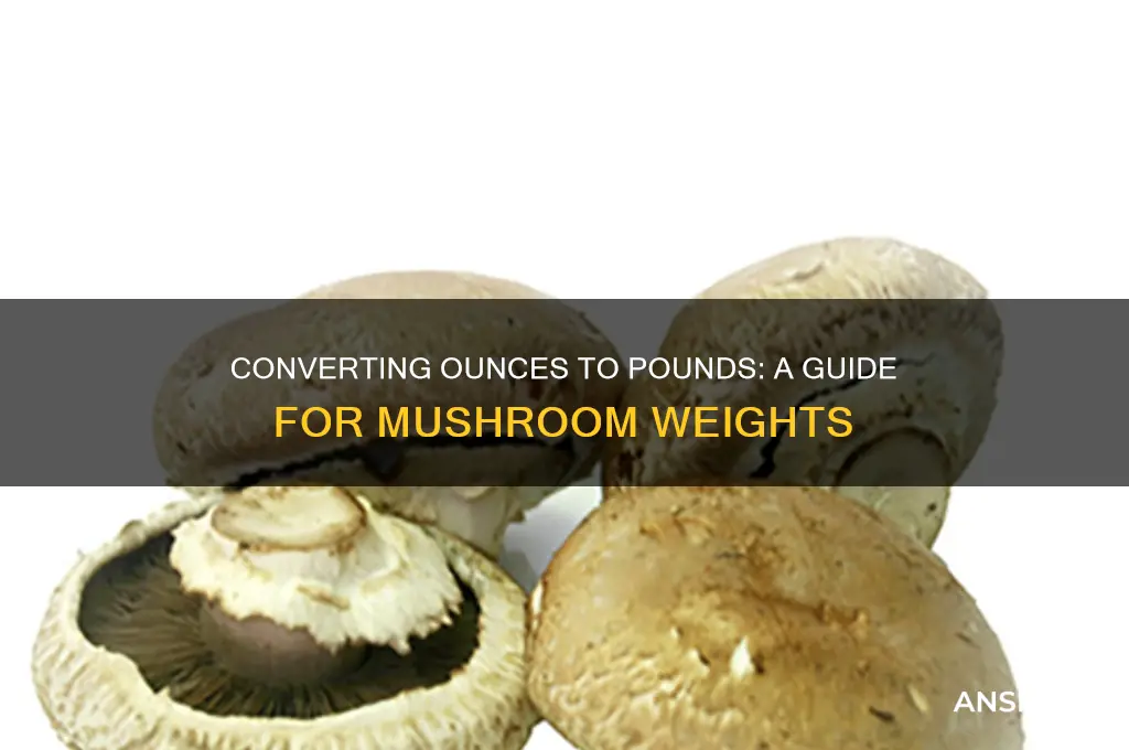 how many ounces makes a pound of mushrooms