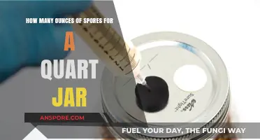 Perfect Spore-to-Jar Ratio: Ounces for a Quart Mason Jar