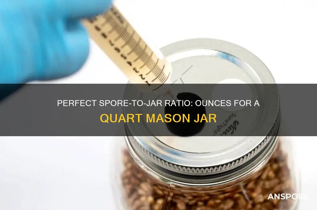 how many ounces of spores for a quart jar