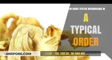 Oyster Mushroom Orders: How Many to Expect