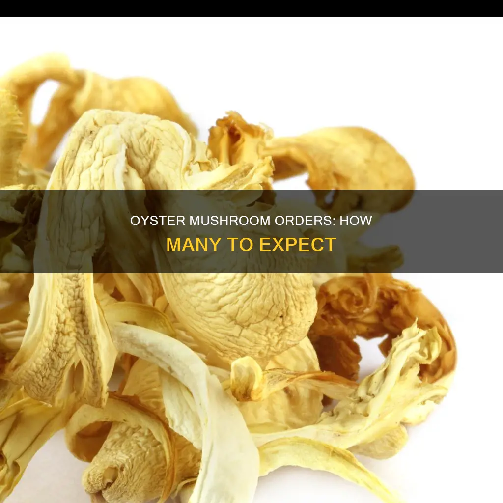 how many oyster mushrooms in a typical order
