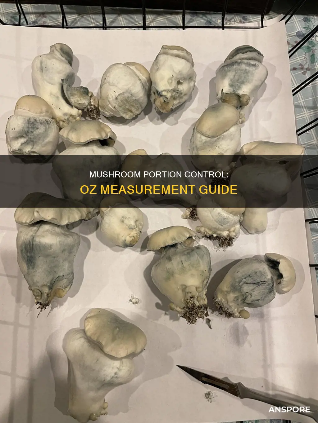 how many oz mushrooms