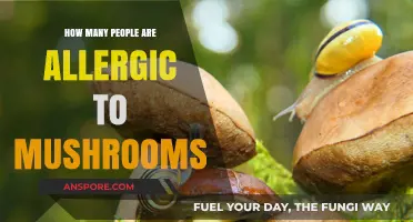 Mushroom Allergies: A Common Issue for Many?