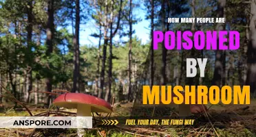 Mushroom Poisoning: Unveiling the Alarming Number of Affected Individuals
