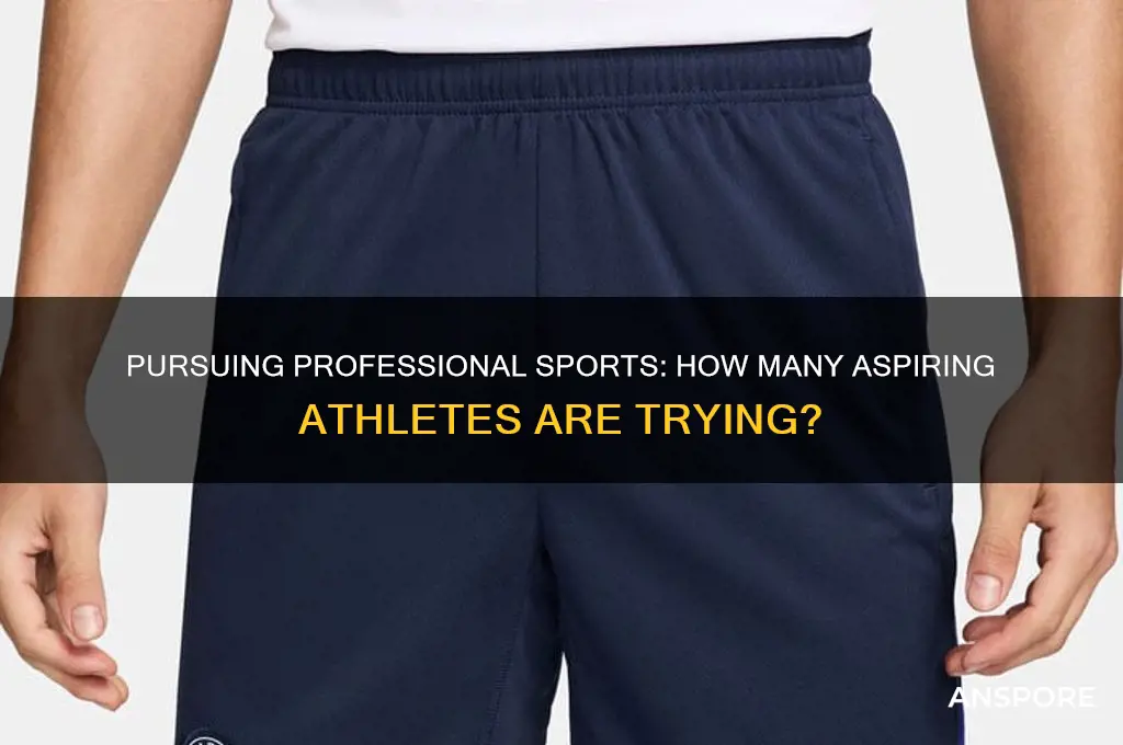 how many people are trying to make professional spor