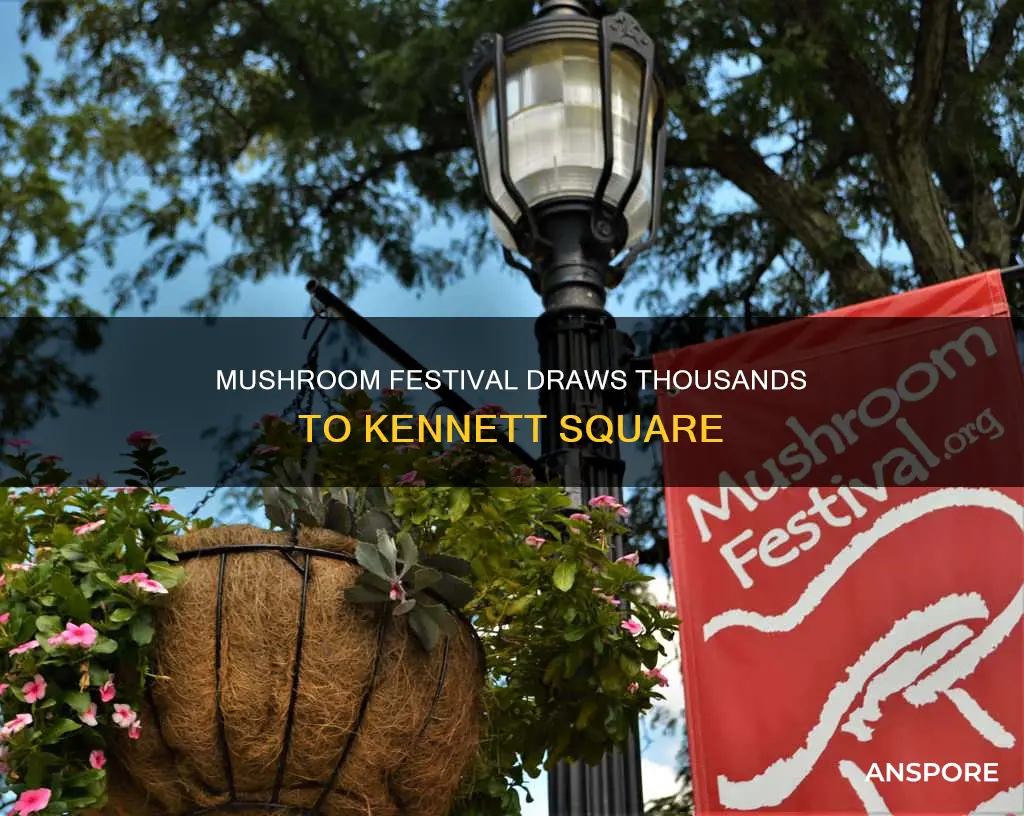 how many people attend the mushroom festival in kennett square