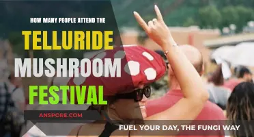 Mushroom Festival Draws Eclectic Crowd to Telluride