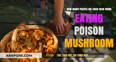 Deadly Mistake: Annual Fatalities from Poisonous Mushroom Consumption
