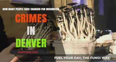 Mushroom Offenders in Denver: A Growing Concern?